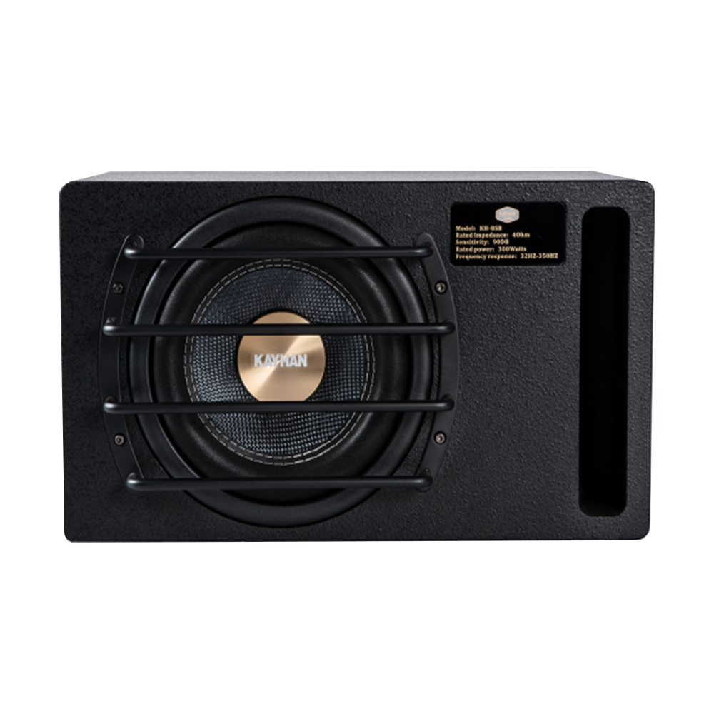 8 Inch Passive Subwoofer Box Deep Bass Audio